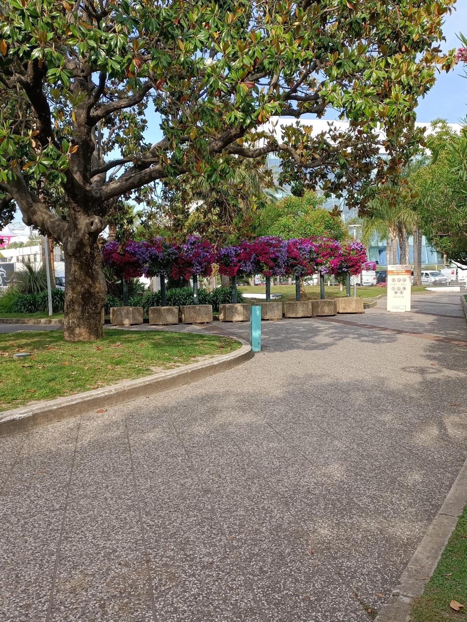 Gallieni Apartment คานส์ ภายนอก รูปภาพ
